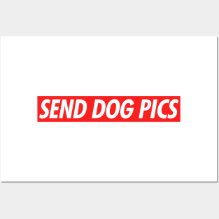 Send Dog Pics Posters and Art